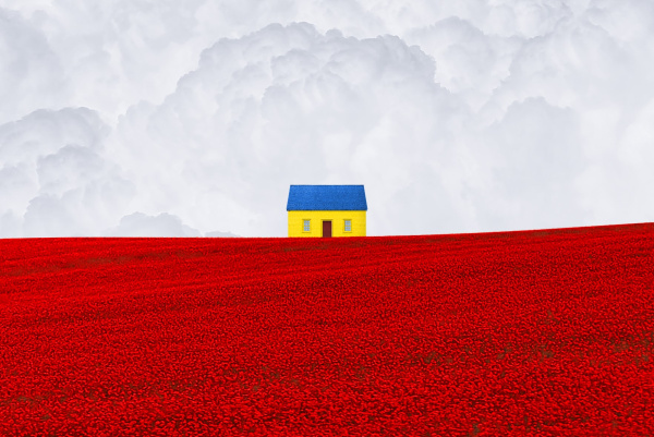 Aleksander Maachowski Hashtagalek 1